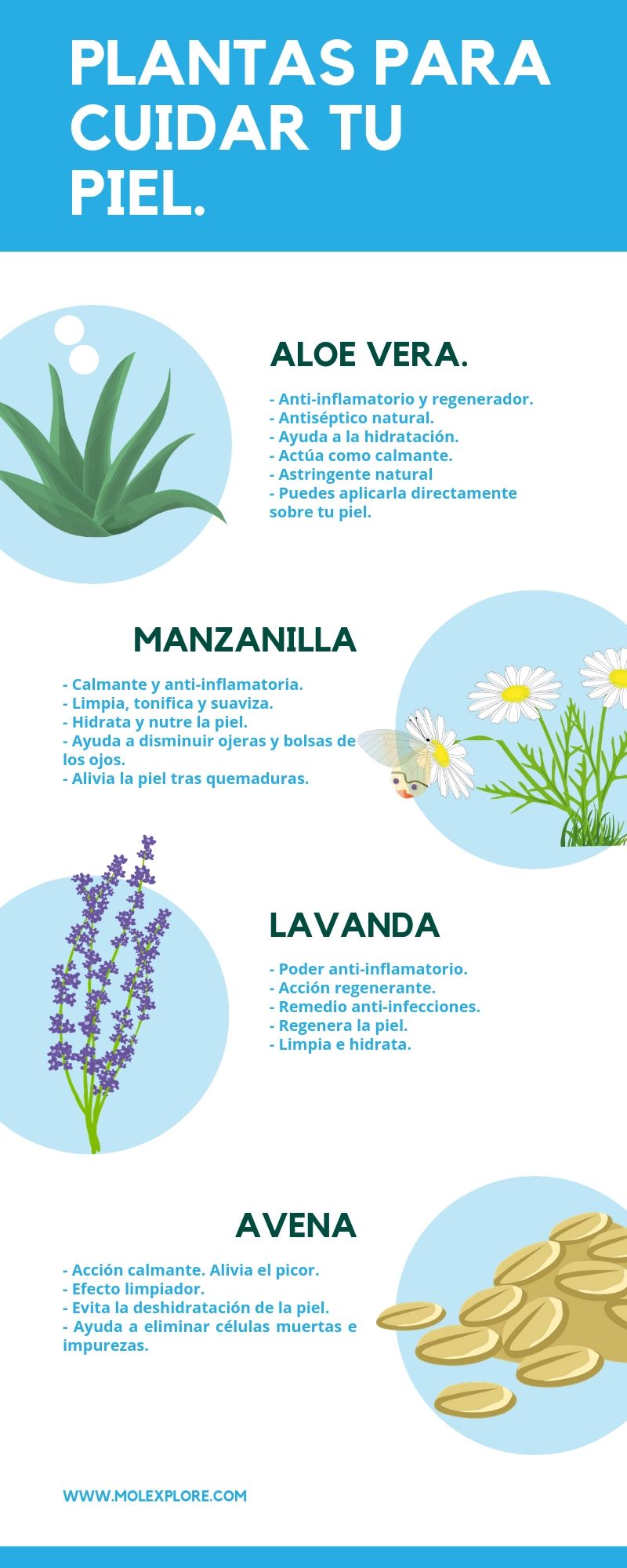 Plantas que ayudan a cuidar tu piel